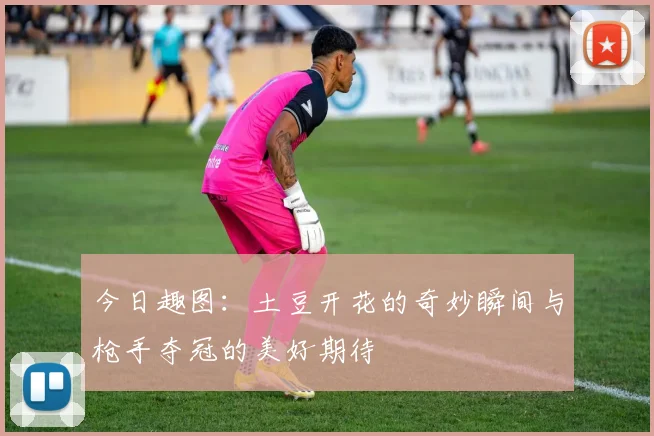 今日趣图：土豆开花的奇妙瞬间与枪手夺冠的美好期待