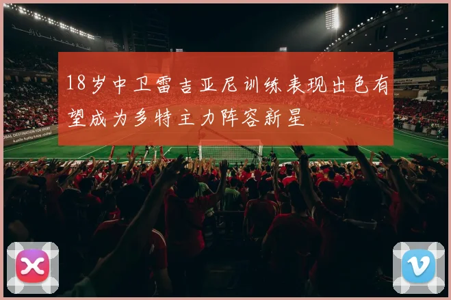 18岁中卫雷吉亚尼训练表现出色有望成为多特主力阵容新星