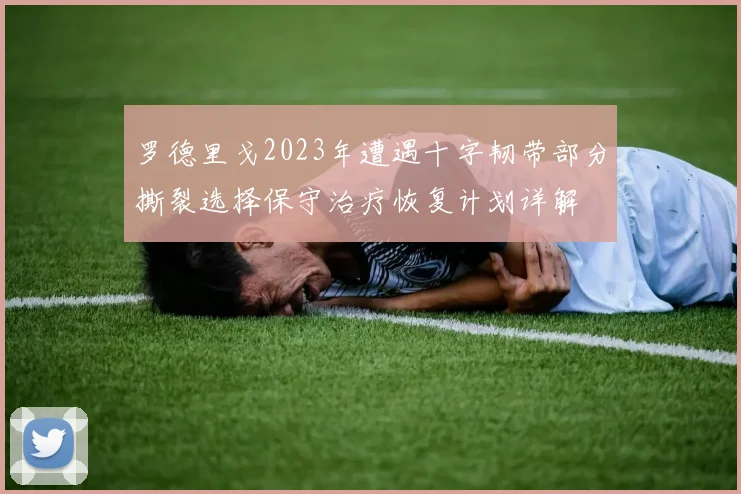 罗德里戈2023年遭遇十字韧带部分撕裂选择保守治疗恢复计划详解
