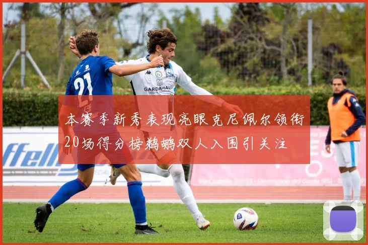 本赛季新秀表现亮眼克尼佩尔领衔20场得分榜鹈鹕双人入围引关注